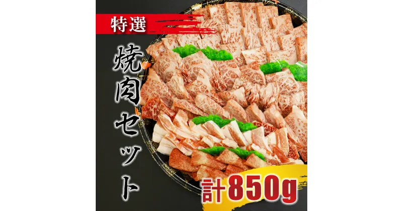 【ふるさと納税】特選焼肉セット(牛肉:ロース 300g、牛肉:カルビ:300g、牛タン:100g 豚肉:150g) | 熊本県 熊本 くまもと 和水町 なごみ 牛肉 豚肉 ロース カルビ 牛タン 黒毛和牛 焼肉