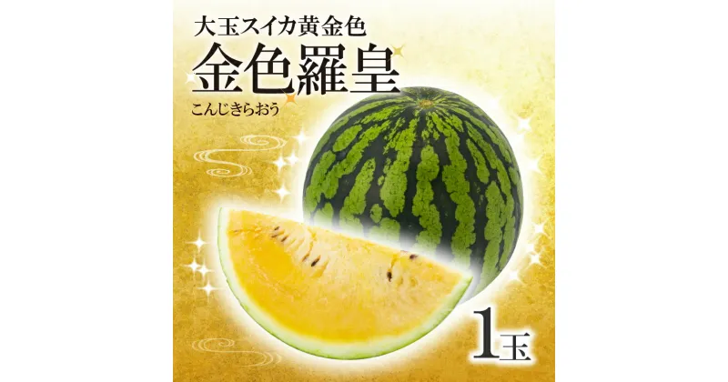 【ふるさと納税】 大玉 スイカ 黄金色 金色羅皇 1玉 すいか スイカ 2024年6月頃発送 果物 フルーツ 大玉 国産 熊本県 和水町 西瓜 大玉くまもと 熊本県 希少 野菜 人気 こんじき らおう