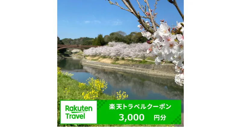 【ふるさと納税】熊本県和水町の対象施設で使える楽天トラベルクーポン 寄附額10,000円