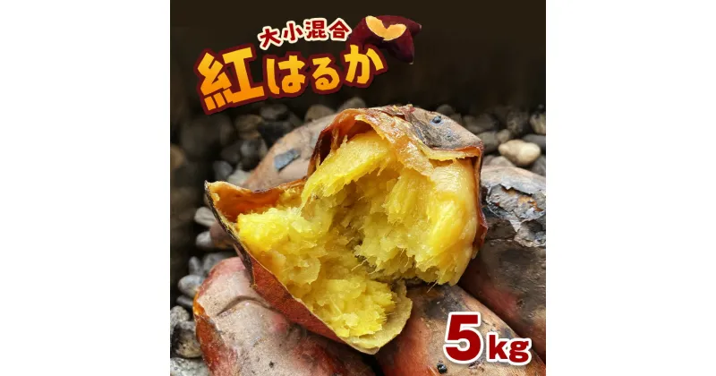 【ふるさと納税】 さつまいも 5kg 紅はるか 密芋 野菜 国産 熊本県 和水町 くまもと県 甘藷 からいも サツマイモ かんしょ 芋 食物繊維豊富