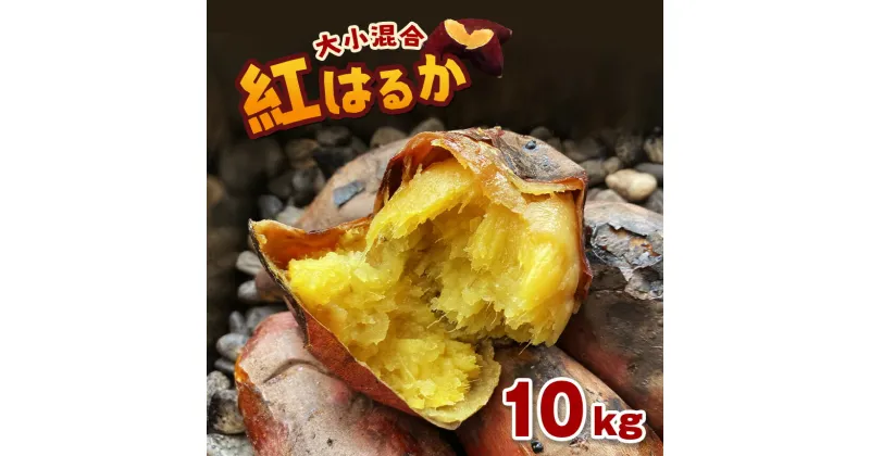 【ふるさと納税】 さつまいも 10kg 紅はるか 密芋 野菜 国産 熊本県 和水町 くまもと県 甘藷 からいも サツマイモ かんしょ 芋 食物繊維豊富