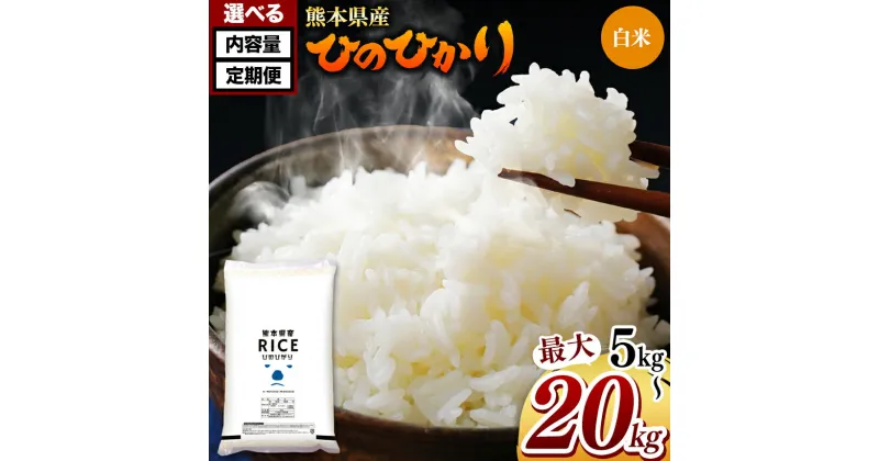 【ふるさと納税】 令和6年産 ひのひかり 熊本県産 白米 5kg 10kg 15kg 20kg 定期便 3回 6回 12回 米 | 特A 米 ご飯 単一米 こめ 小分け 定期 銘柄米 人気 選べる