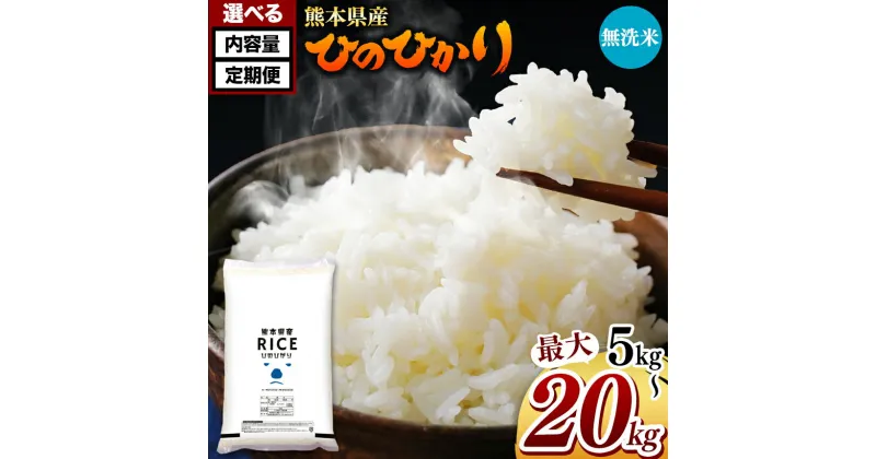 【ふるさと納税】 令和6年産 熊本県産 ひのひかり 無洗米 5kg 10kg 15kg 20kg 定期便 3回 6回 12回 米 | 特A 米 ご飯 単一米 こめ 小分け 定期 銘柄米 人気 選べる