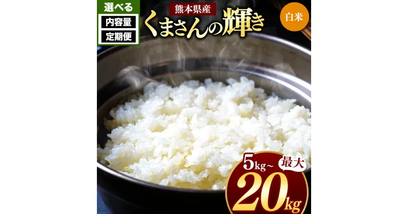 【ふるさと納税】 令和6年産 熊本県産 くまさんの輝き 白米 5kg 10kg 15kg 20kg 定期便 3回 6回 12回 米