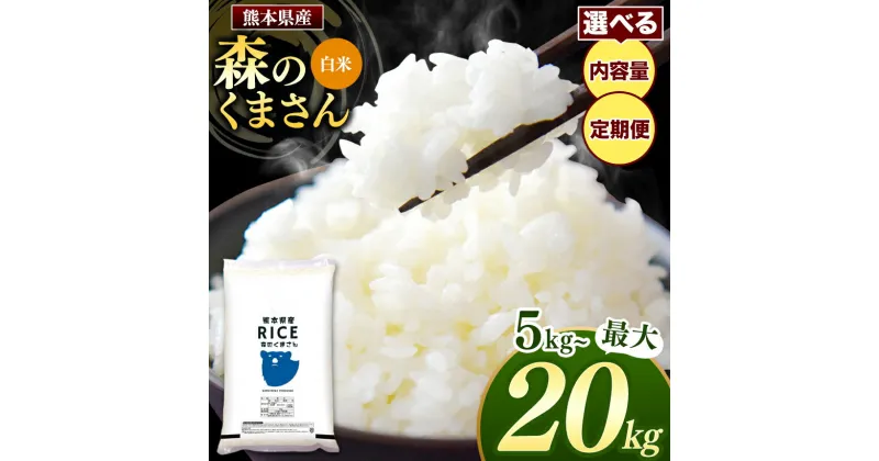 【ふるさと納税】 令和6年産 熊本県産 森のくまさん 白米 5kg 10kg 15kg 20kg 定期便 3回 6回 12回 米