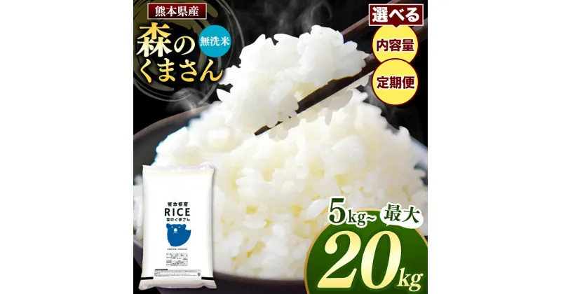 【ふるさと納税】 令和6年産 熊本県産 森のくまさん 無洗米 乾式無洗米 5kg 10kg 15kg 20kg 定期便 3回 6回 12回 米