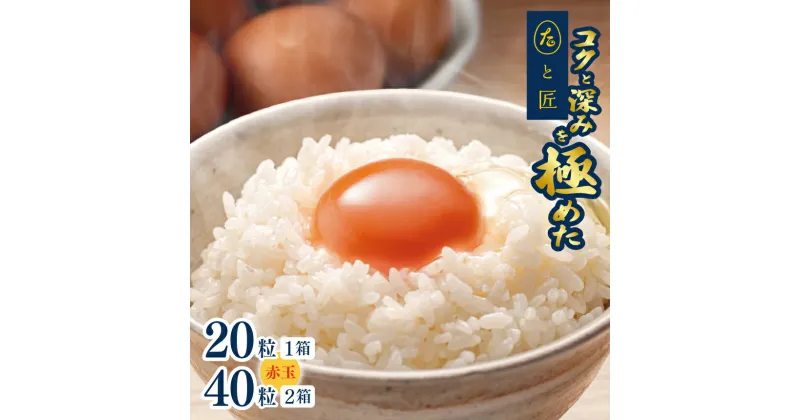 【ふるさと納税】 たまご 【たまごと匠】 赤玉 20粒 40粒（2箱） 贈答用 化粧箱