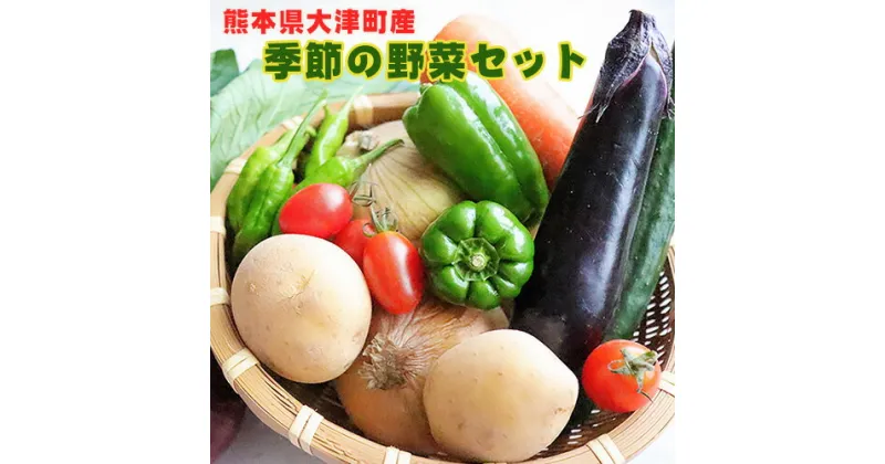 【ふるさと納税】熊本県大津町産 季節の野菜セット(6〜8種類) 野菜 冷蔵 JA菊池 大津中央支所 とれたて市場《60日以内に出荷予定(土日祝除く)》