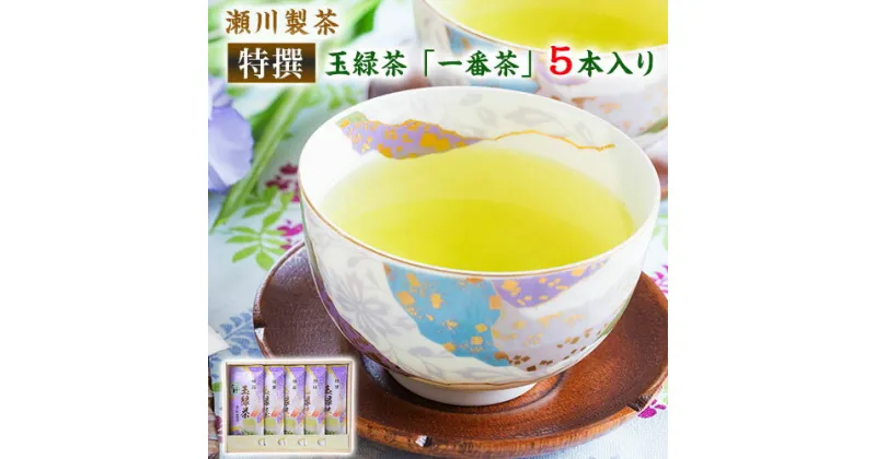 【ふるさと納税】＜特撰＞玉緑茶(たまりょくちゃ)「一番茶」 100g×5本 熊本県 大津町産 株式会社 瀬川製茶《60日以内に出荷予定(土日祝除く)》