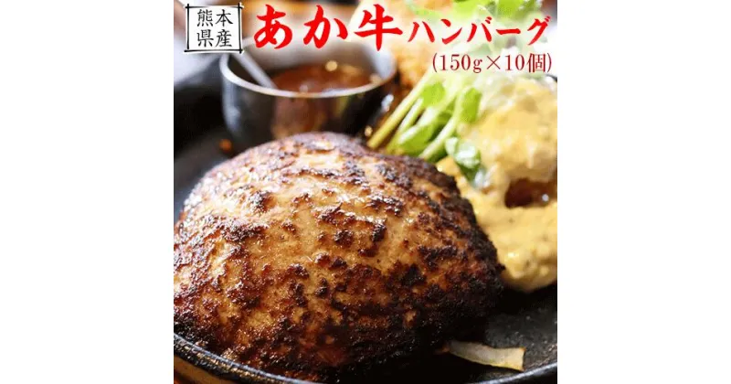 【ふるさと納税】【希少和牛】あか牛ハンバーグ 150g10個 計1500g セット《90日以内に出荷予定(土日祝除く)》 株式会社KAM Brewing