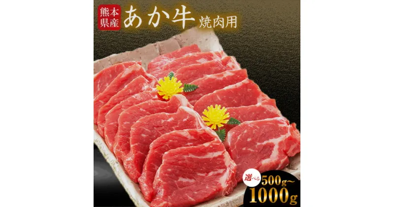 【ふるさと納税】肥後のあか牛 焼き肉用 500g 1000g 株式会社KAM Brewing《90日以内に出荷予定(土日祝除く)》