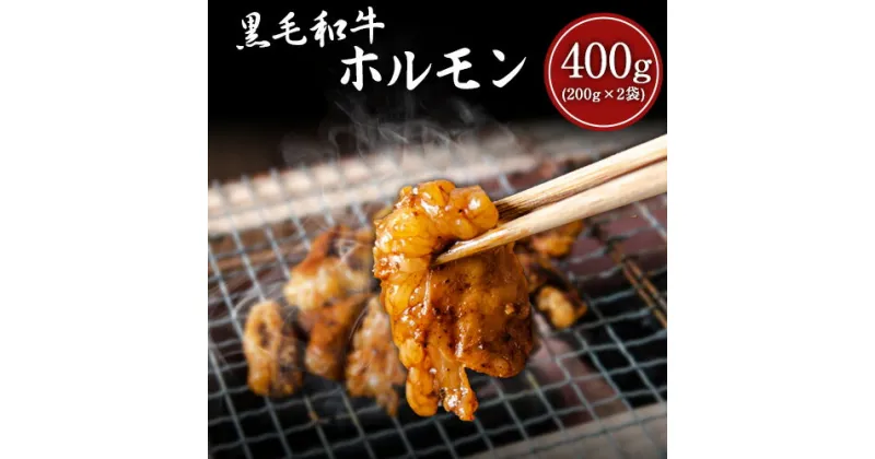 【ふるさと納税】黒毛和牛ホルモン400g(200g×2袋) ブランド牛 有限会社トップルーフ《60日以内に出荷予定(土日祝除く)》