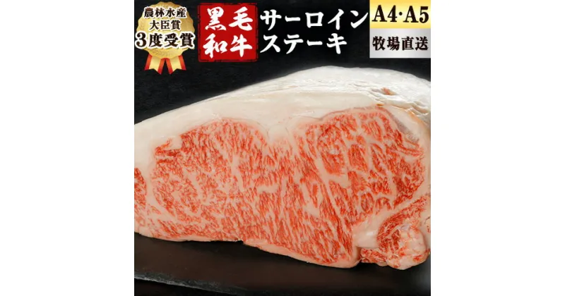 【ふるさと納税】A5 A4 ランク 厳選 くまもと黒毛和牛 サーロインステーキ 1枚(約250g)《30日以内に出荷予定(土日祝除く)》 熊本県 大津町 和牛焼肉LIEBE サーロイン ステーキ 冷蔵 リーベ