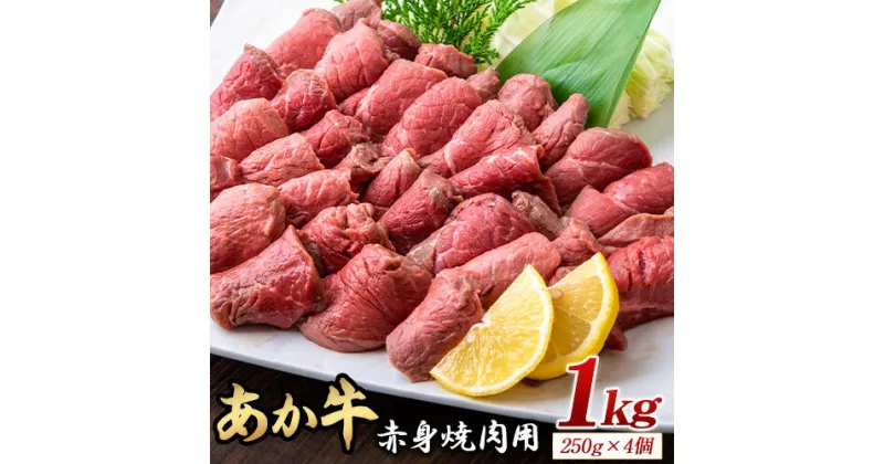 【ふるさと納税】あか牛 赤身焼肉用 1kg (250g×4個) 有限会社幸路《60日以内に出荷予定(土日祝を除く)》あか牛 あかうし 赤牛 焼肉 冷凍 小分けパック