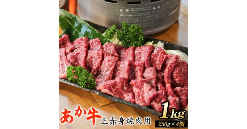 【ふるさと納税】あか牛 上赤身焼肉用 1kg (250g×4個) 有限会社幸路《60日以内に出荷予定(土日祝を除く)》 あかうし 赤牛 焼肉 冷凍 小分けパック