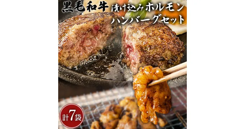 【ふるさと納税】黒毛和牛漬け込みホルモン・ハンバーグセット（計7袋） 絶品 ブランド牛 黒毛和種 有限会社トップルーフ《60日以内に出荷予定(土日祝除く)》