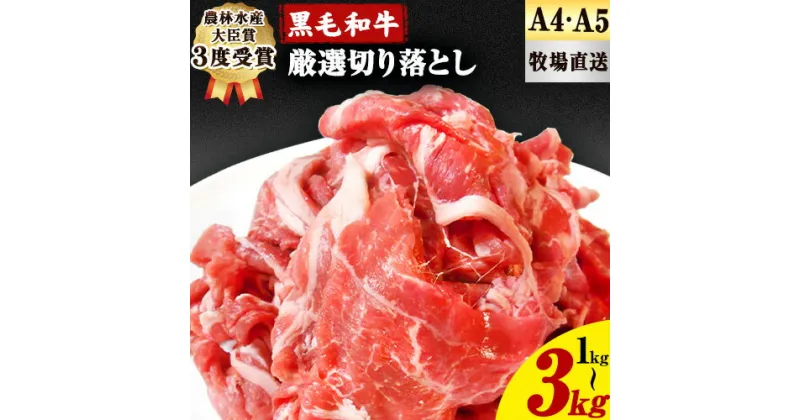 【ふるさと納税】厳選 くまもと黒毛和牛 切り落とし 選べる内容量 1kg 2kg 3kg ( 1パック 500g ) 《30日以内に出荷予定(土日祝除く)》熊本県 大津町 和牛焼肉LIEBE くまもと黒毛和牛 切り落とし 冷凍 リーベ