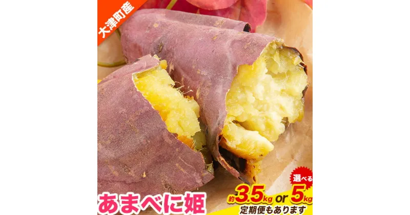 【ふるさと納税】熊本県 大津町産 あまべに姫 (紅はるか) 約 3.5kg 約 5kg ガブレス《12月上旬-3月末頃より出荷開始》さつまいも 芋 紫芋 高糖度