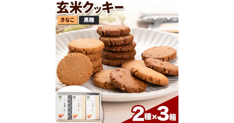 【ふるさと納税】くまもと 玄米クッキー 2種×3箱(1箱に3袋入) 株式会社阿蘇自然の恵み総本舗 《30日以内に出荷予定(土日祝除く)》熊本県 大津町 クッキー 玄米 きなこ ごま 黒糖 スイーツ お菓子 菊芋 FSSC22000取得