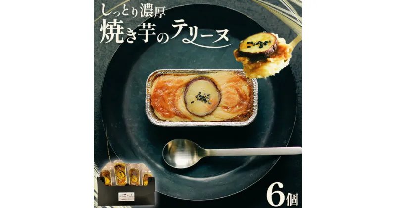 【ふるさと納税】焼き芋のテリーヌ 60g×6個 合同会社いたふ 《30日以内に出荷予定(土日祝除く)》熊本県 大津町 芋 イモ さつまいも 紅はるか テリーヌ ケーキ スイーツ 洋菓子 ギフト プレゼント 無添加