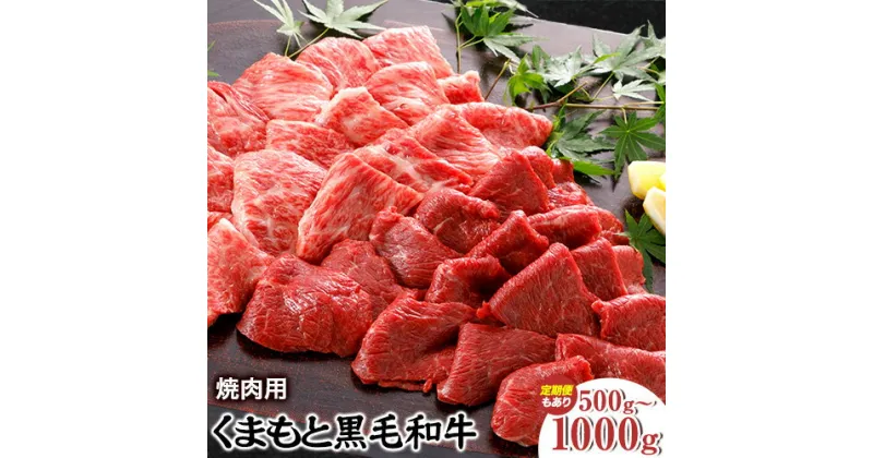 【ふるさと納税】 牛肉 くまもと黒毛和牛 焼肉用 500g 定期便 2回 5回 1000g 株式会社KAM Brewing《30日以内に出荷予定(土日祝除く)》