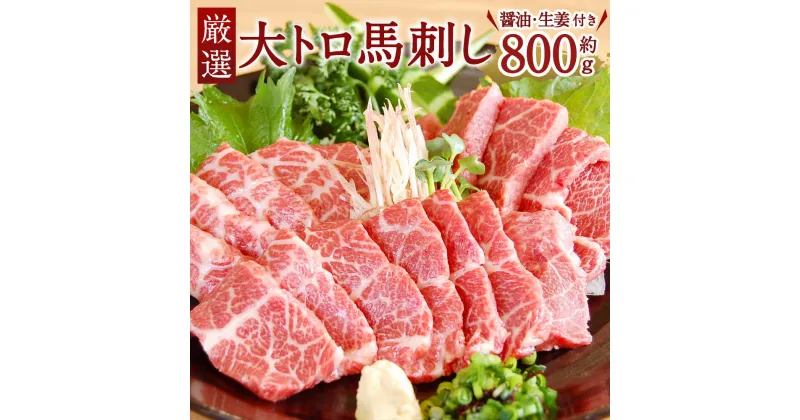 【ふるさと納税】 厳選 大トロ馬刺し 800g 大トロ 馬刺し 馬刺 熊本 九州 三枚バラ 希少部位 醤油 生姜付き 冷凍 送料無料