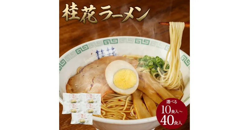 【ふるさと納税】桂花ラーメン 選べる 内容量 計10食入（2食×5袋） 計40食 （2食×20袋） 熊本ラーメン マー油 家庭用 ラーメン 拉麺 半生麺 常温タイプ 九州ラーメン 熊本産 送料無料