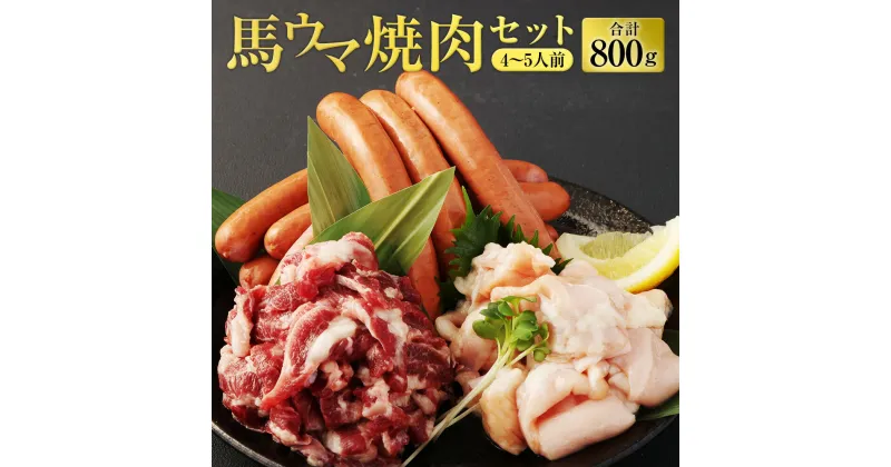 【ふるさと納税】馬ウマ焼肉セット （4～5人前） 合計800g 馬さがり 馬上ホルモン 馬肉ソーセージ 焼肉 セット 冷凍 九州 熊本県 菊陽町 送料無料