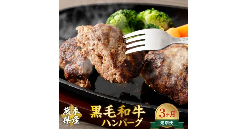 【ふるさと納税】【3か月定期便】黒毛和牛ハンバーグ 合計42個 (120g×14個×3回) ハンバーグ 黒毛和牛 ハンバーガー 和牛 九州 熊本県 菊陽町 冷凍 送料無料