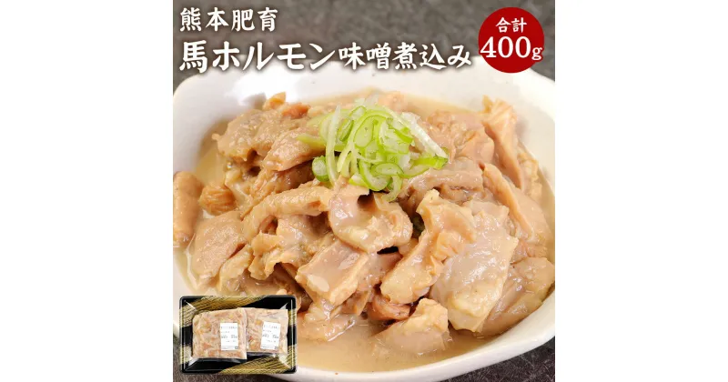 【ふるさと納税】熊本肥育 馬ホルモン 味噌煮込み 合計400g 約200g×2パック ホルモン 馬肉 惣菜 おかず おつまみ 冷凍 九州 熊本県 菊陽町 送料無料