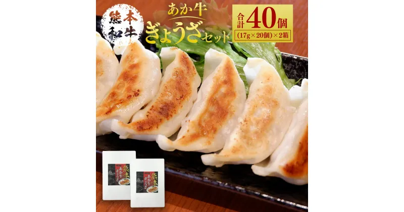 【ふるさと納税】熊本和牛あか牛ぎょうざセット 20個入り×2箱 合計340g 40個 あか牛 赤牛 熊本和牛 和牛 牛 ギョウザ 餃子 牛肉 肉 お肉 惣菜 おかず セット 詰め合わせ 冷凍 九州 熊本県 菊陽町 送料無料