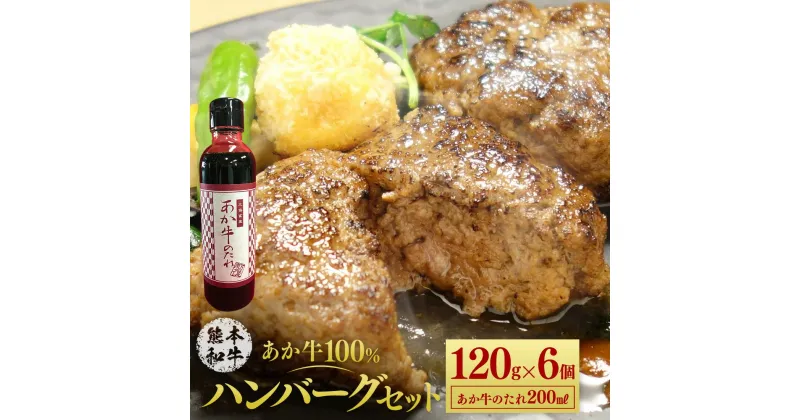 【ふるさと納税】あか牛100％ハンバーグセット 120g×6個 たれ付き 200ml あか牛 赤牛 熊本和牛 和牛 ハンバーグ 牛 牛肉 肉 お肉 おかず 惣菜 セット 詰め合わせ 冷凍 九州 熊本県 菊陽町 送料無料