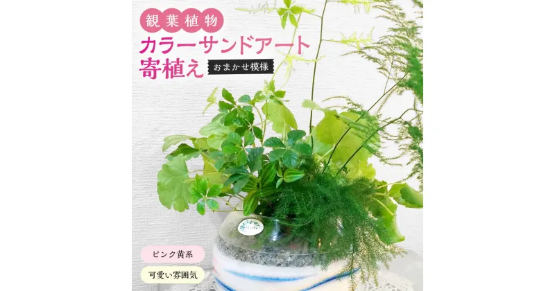 【ふるさと納税】カラ―サンドアート 多肉植物 色砂 ピンク黄系 かわいい雰囲気 おまかせ模様 寄せ植え 植物 インテリア 置物 プレゼント ギフト 九州 熊本県 菊陽町 送料無料