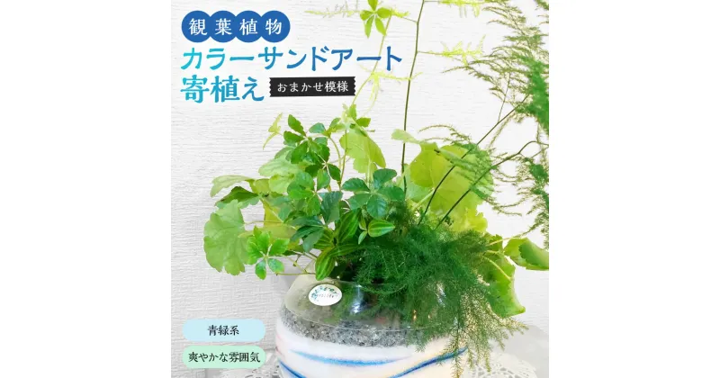 【ふるさと納税】カラ―サンドアート 多肉植物 色砂 青緑系 爽やかな雰囲気 おまかせ模様 寄せ植え 植物 インテリア 置物 プレゼント ギフト 九州 熊本県 菊陽町 送料無料