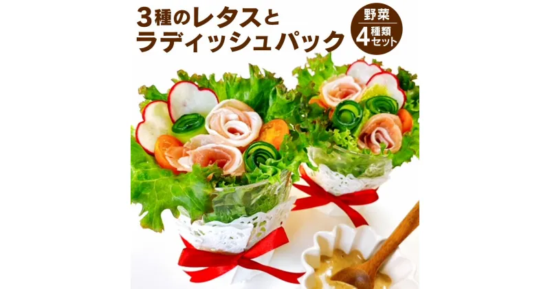 【ふるさと納税】健康野菜村！ 3種のレタスとラディッシュパック セット 野菜 レタス (フリルレタス・レッドリーフ・レッドオーク) ラディッシュ 食べ比べ サラダ 料理 調理 健康 冷蔵 九州 熊本県 菊陽町 送料無料