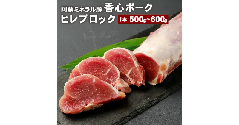 【ふるさと納税】香心ポーク ヒレブロック 1本 500～600g ヒレ肉 ヒレ お肉 豚肉 冷凍 九州 熊本県 菊陽町 送料無料