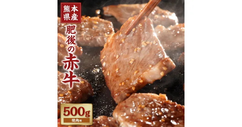 【ふるさと納税】肥後の赤牛 焼肉用 約500g あか牛 肉 牛肉 和牛 焼き肉 冷凍 九州 熊本県 菊陽町 送料無料