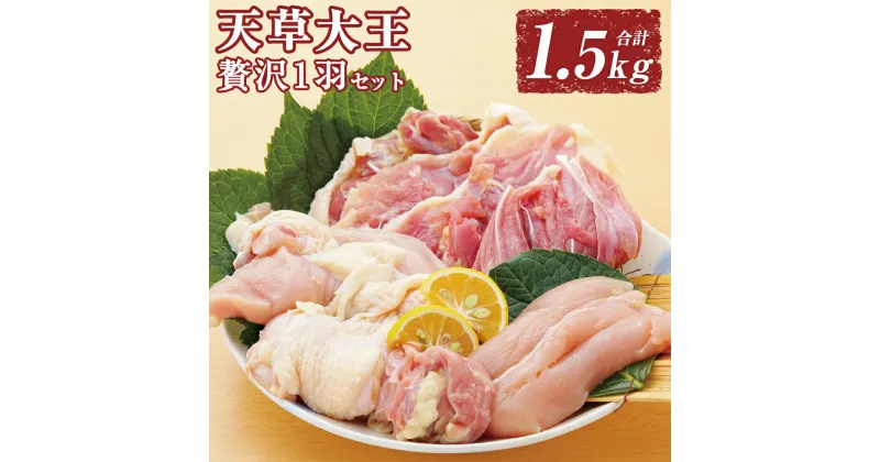 【ふるさと納税】天草大王 贅沢1羽セット 1.5kg 鶏肉 とり肉 お肉 肉 もも むね ささみ 冷凍 真空包装 九州 熊本県 菊陽町 送料無料