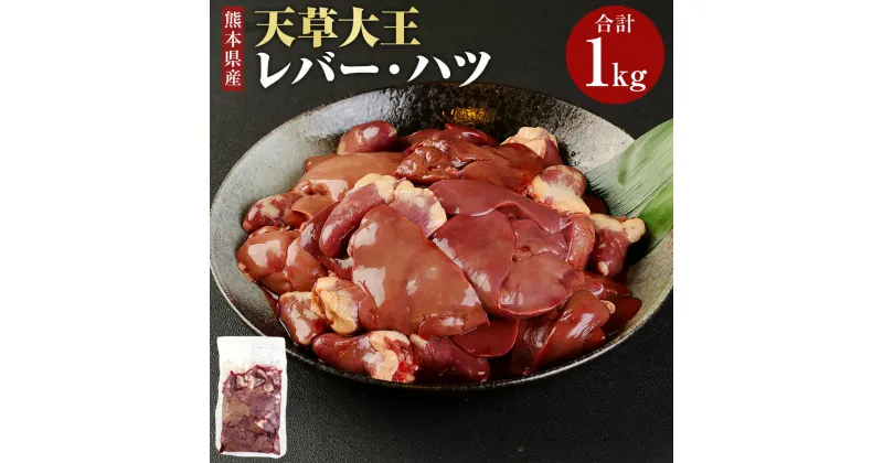 【ふるさと納税】天草大王 レバー ハツ 1kg 肉 鶏肉 焼き鳥 パテ 冷凍 九州 熊本県 菊陽町 送料無料