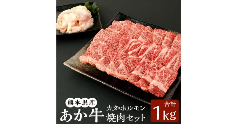 【ふるさと納税】熊本県産 あか牛赤身焼肉セット（カタ 700g・ホルモン 300g） 合計1kg あか牛 赤牛 和牛 くまもとあか牛 赤身 焼き肉 カタ ホルモン 牛 牛肉 肉 お肉 セット 詰合せ 冷凍 国産 九州 熊本県 菊陽町 送料無料