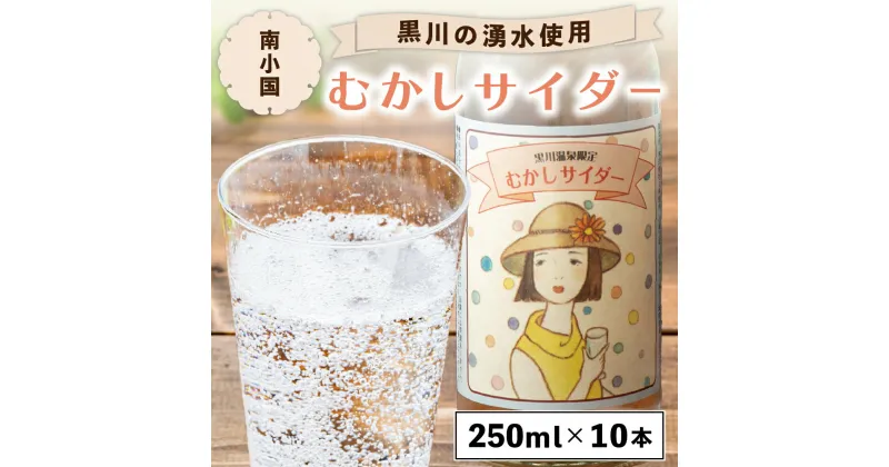 【ふるさと納税】 むかしサイダー 250ml 10本 湧水 黒川温泉 サイダー 地サイダー ご当地 瓶 レトロ 飲料 ジュース セット ギフト 贈答用 お中元 熊本 南小国町 送料無料