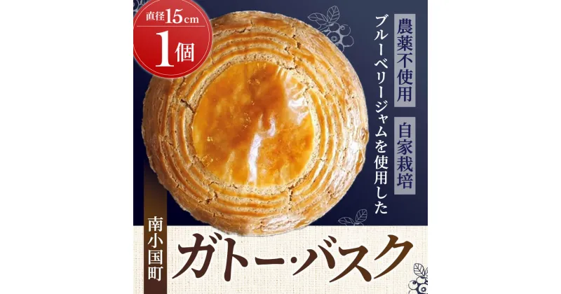 【ふるさと納税】 ガトーバスク ブルーベリー ホールケーキ 15cm 菓子 お菓子 洋菓子 焼菓子 ガトー・バスク 贈答用 ギフト ラッピング お取り寄せ cafe karin 熊本 阿蘇 南小国町 送料無料