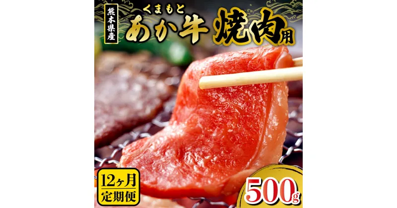 【ふるさと納税】 定期便 12ヶ月 熊本県産 あか牛 焼肉用 500g 12回 1年 くまもとあか牛 GI認証取得 和牛 国産牛 肉 牛 焼肉 赤身 バーベキュー ギフト 贈答用 熊本 阿蘇 南小国町 送料無料