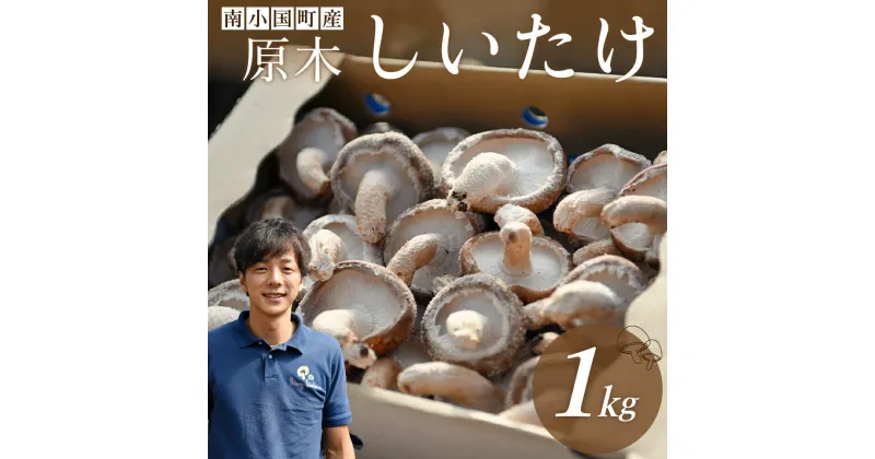 【ふるさと納税】 南小国産 原木しいたけ 1kg 極上 きのこ キノコ 椎茸 しいたけ シイタケ 生 野菜 極上 高級 ギフト 贈答用 熊本 阿蘇 南小国町 送料無料