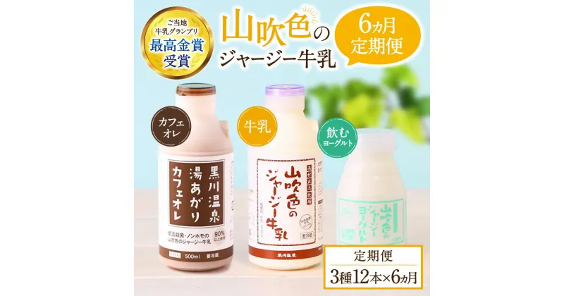 【ふるさと納税】 6ヶ月 定期便 山吹色のジャージー牛乳 3種 12本 飲むヨーグルト カフェオレ コーヒー牛乳 6回 黒川温泉 詰め合わせ セット 乳製品 飲料 健康 腸活 免疫力アップ 乳酸菌 ご当地牛乳グランプリ 最高金賞 ご当地 ギフト 山のいぶき 熊本 阿蘇 南小国 送料無料