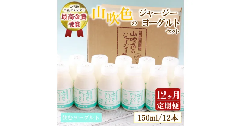 【ふるさと納税】 12ヶ月 定期便 黒川温泉 山吹色のジャージーヨーグルト 飲むヨーグルト 150ml 12本 12回 1年 ジャージー牛乳 乳製品 乳飲料 健康 腸活 免疫力アップ 乳酸菌 ご当地牛乳グランプリ 最高金賞 ご当地 ギフト 山のいぶき 熊本 阿蘇 南小国 送料無料