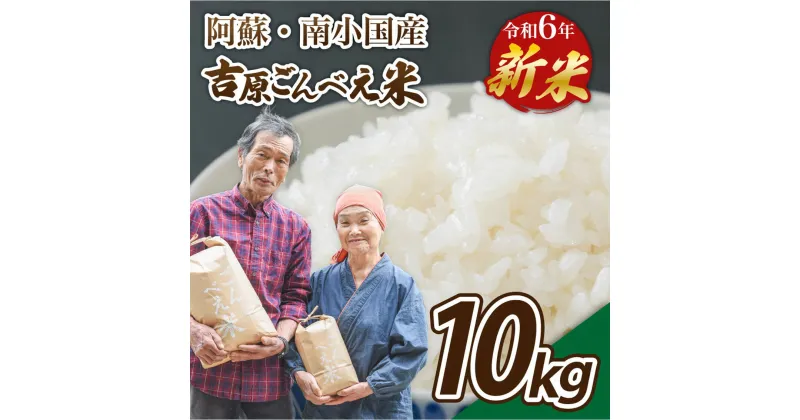 【ふるさと納税】 令和6年産 ごんべえ米 白米 玄米 食べ比べ 10kg 新米 精米 米 お米 玄米対応可能 ご飯 ごはん 無農薬 農薬不使用 産地直送 熊本 南小国 送料無料