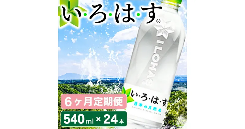 【ふるさと納税】 6ヶ月 定期便 い・ろ・は・す 阿蘇の天然水 540ml 24本 いろはす 水 天然水 6回 ミネラルウォーター ペットボトル ケース 阿蘇 熊本 南小国町 送料無料