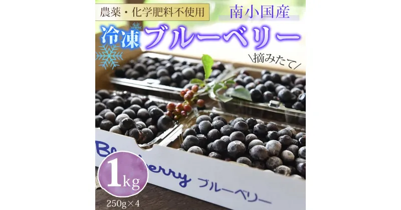 【ふるさと納税】 南小国産 冷凍 ブルーベリー 1kg 摘み立て 生 果物 新鮮 フレッシュ 小分け 農薬不使用 化学肥料不使用 産地直送 熊本 阿蘇 南小国町 送料無料