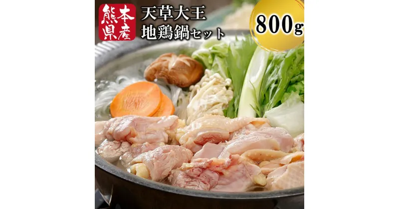 【ふるさと納税】 熊本県産 天草大王 鍋セット 鶏 鶏肉 地鶏 もも むね つくね スープ 鶏ガラ 濃厚 鍋 セット スープ付き 熊本 阿蘇 南小国町 送料無料